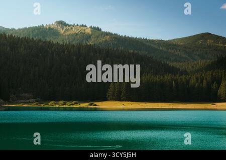 Friedlicher Bergsee umgeben von dichten Kiefernwäldern und sonnendurchfluteten Hügeln unter einem klaren blauen Himmel, der die Schönheit der unberührten Natur widerspiegelt Stockfoto