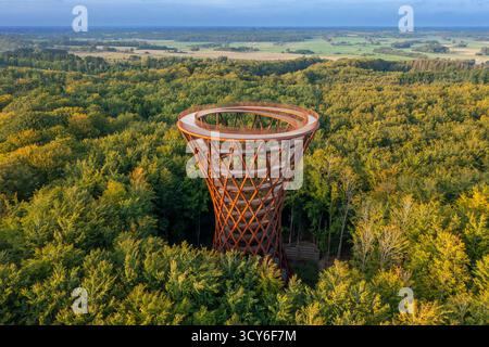 Aus der Vogelperspektive über 45 Meter hohen hyperboloiden Aussichtsturm im Wald in der Nähe des Klosters Gisselfeld bei Haslev auf der Insel Neuseeland im Spätsommer, Dänemark Stockfoto