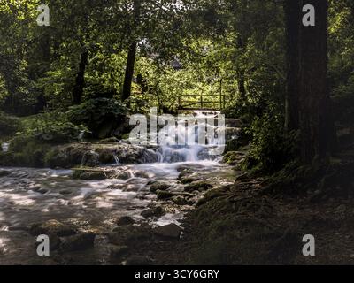 Sanfter Waldbach plätschert über moosige Felsen in kleinen Kaskaden unter Bäumen, mit einer rustikalen Holzbrücke im Hintergrund bei Rastoke, Kroatien. Stockfoto