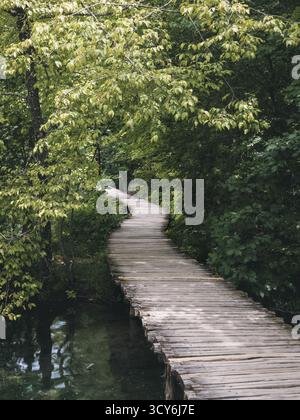 Ein geschwungener Holzsteg schlängelt sich durch einen dichten, grünen Wald über einem stillen, dunklen Bach an den Plitvicer Seen, Kroatien, und erinnert an eine ruhige und abgeschiedene Natur Stockfoto