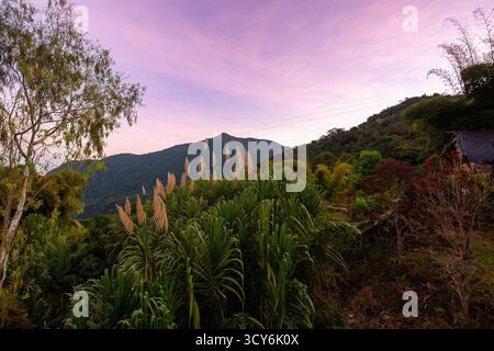 Wunderschöne Dämmerungsszene in der Nähe von Minca, Kolumbien, mit dem grünen tropischen Dschungel und weichen, farbenfrohen Wolken über den Bergen. Stockfoto
