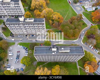 Herbstfarben umgeben das Alton Estate in Wandsworth, London. Die Autos der Bewohner stehen auf den Parkplätzen des Anwesens. Stockfoto