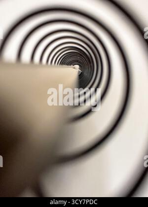 Abstrakte Nahaufnahme einer spiralförmigen Buchwurzel – Kreisspulenbindung mit Tiefenperspektive Stockfoto