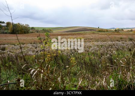 Malerischer Blick auf eine Landschaft im Spätherbst mit Feldern, Wiesen, Büschen, Bäumen und bewölktem Himmel in der Ukraine, auf dem Land. Stockfoto