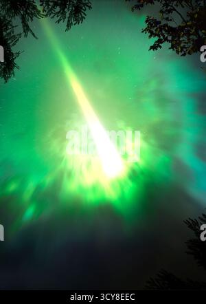 Grüner Meteor, Abbildung. Meteore sind Bruchstücke von Raumsteinen, die in der Atmosphäre brennen. Stockfoto