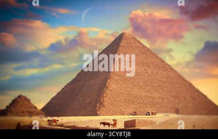 Pferde und Reiter vor dem Hintergrund der ägyptischen Pyramiden in Gizeh. In Der Nähe Von Kairo Stockfoto