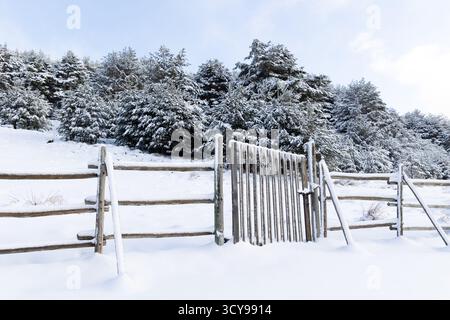 Paisaje nevado en la sierra de guadarrama en Madrid Stockfoto