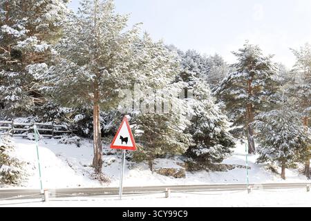 Paisaje nevado en la sierra de guadarrama en Madrid Stockfoto