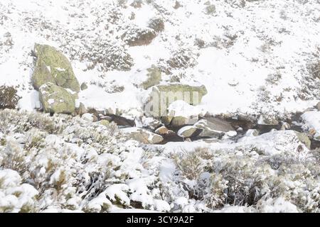 Paisaje nevado en la sierra de guadarrama en Madrid Stockfoto