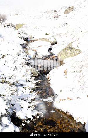Paisaje nevado en la sierra de guadarrama en Madrid Stockfoto