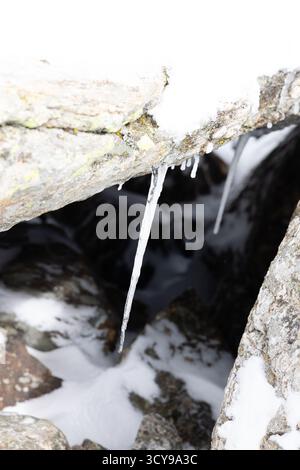 Paisaje nevado en la sierra de guadarrama en Madrid Stockfoto
