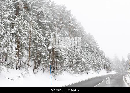 Paisaje nevado en la sierra de guadarrama en Madrid Stockfoto