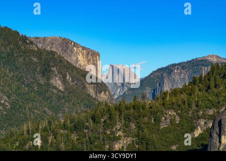 Eine weitläufige Außenaufnahme zeigt Half Dome und hoch aufragende Granitgipfel, die von Kiefernwäldern bedeckt sind, unter einem hellblauen Himmel. Stockfoto