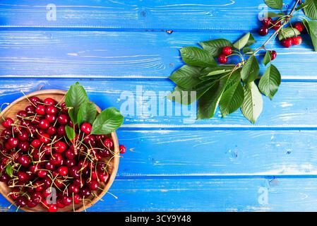 Rote Kirschen in einer Holzschale und ein Zweig reifer roter Kirschen auf einem blauen Holztisch. Bio-Obst Stockfoto