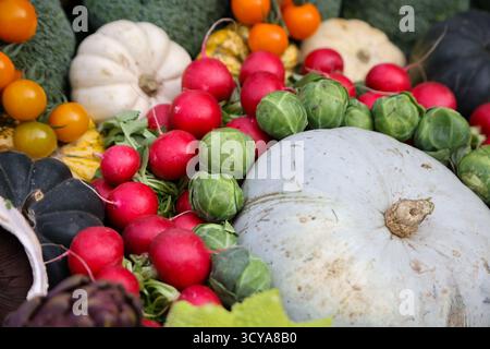 London, Großbritannien. Oktober 2025. Eine Nahaufnahme von Gemüse, das vor Westminster Abbey am World Food Day ausgestellt wurde, der von Love British Food in Zusammenarbeit mit führenden Wohltätigkeitsorganisationen organisiert wurde. Quelle: SOPA Images Limited/Alamy Live News Stockfoto