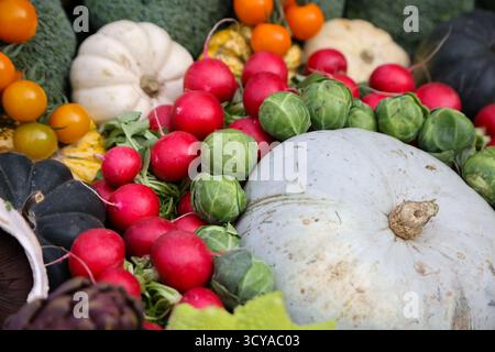 London, Großbritannien. Oktober 2025. Eine Nahaufnahme von Gemüse, das vor Westminster Abbey am World Food Day ausgestellt wurde, der von Love British Food in Zusammenarbeit mit führenden Wohltätigkeitsorganisationen organisiert wurde. (Foto: Dinendra Haria/SOPA Images/SIPA USA) Credit: SIPA USA/Alamy Live News Stockfoto