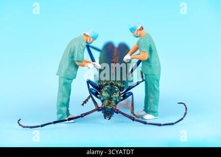 Nahaufnahme von zwei Miniaturchirurgen in Peelings und Masken, die auf einem großen, farbenfrohen Käfer operieren, wobei detaillierte chirurgische Werkzeuge und eine lebendige Farbe hervorgehoben werden Stockfoto