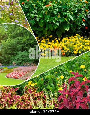 Eine dynamische, vertikale Fotocollage kombiniert kunstvoll mehrere Blicke auf einen wunderschön angelegten Park mit dichten, lebendigen Blumenbeeten und üppigem Grün Stockfoto
