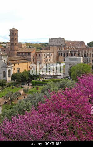 Rom, Italien: Blick von der Terrasse des Belvedere auf dem Palatin in Richtung Kolosseum, Forum Museum, Santa Francesca Romana Kirche und Titusbogen Stockfoto