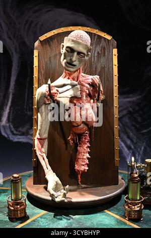 Requisite für die anatomische Vorlesungstheaterszene aus dem Film Frankenstein (2025) Stockfoto
