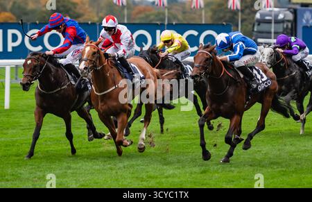 Ascot, Berkshire, Samstag, 18. Oktober 2025; Crown of Oaks und Jockey Tom Marquand gewinnen die Balmoral Handicap Stakes (Klasse 2) (gesponsert von QIPCO) für Trainer William Haggas und Eigentümer Tony Bloom und Ian McAleavy. Credit JTW equine Images / Alamy Live News Stockfoto