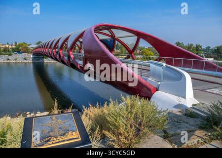 Die Peace Bridge über den Bow River im Eau Claire Park, Calgary, Alberta, Kanada Stockfoto