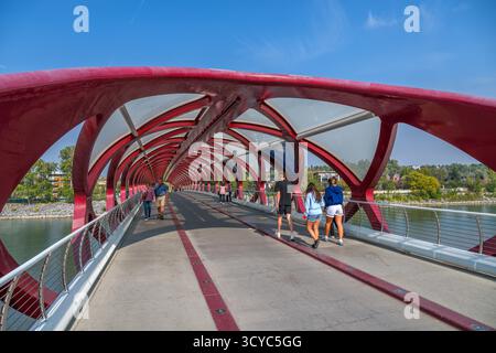 Die Peace Bridge über den Bow River im Eau Claire Park, Calgary, Alberta, Kanada Stockfoto