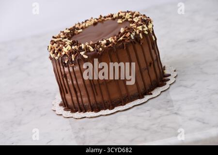 Reichhaltiger Schokoladen-Tropfkuchen mit Schokoladenspänen bedeckt mit einer glatten Schokoladen-Ganache isoliert auf Hintergrund Seitenansicht des Schokoladen-Desserts Stockfoto
