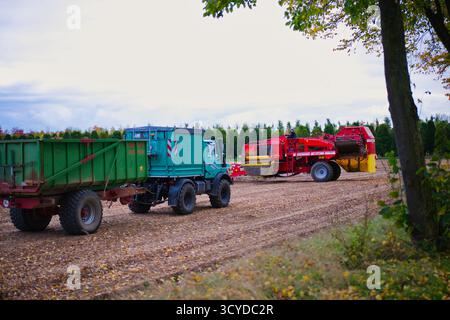 Landwirtschaftliche LKW und Kartoffelerntemaschinen im Herbstfeld, moderne Landmaschinen im ländlichen Deutschland, Landtransport und Erntetechnik Stockfoto