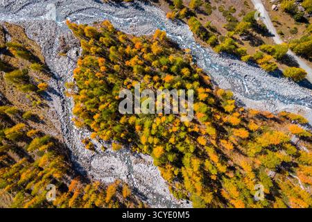 Aus der Vogelperspektive auf die goldenen Lärchen rund um den Lago Blu am Fuße des Monte Rosa Massivs im Ayas-Tal. Champoluc, Ayas-Tal, Provinz Aosta, Aosta-Tal Stockfoto