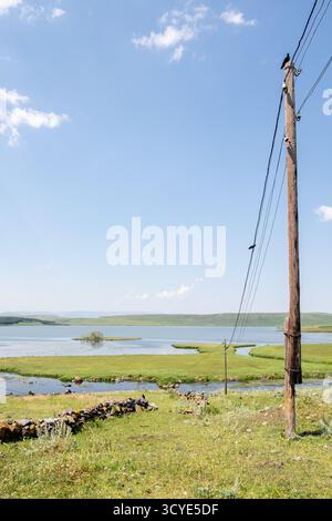 Krähen auf Versorgungsdrähten am Ufer des Paravani Sees mit einer kleinen Insel im Hintergrund. Paravani Lake, Javakheti, Georgia. 18. Juli 2020. Stockfoto