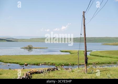 Krähen auf Versorgungsdrähten am Ufer des Paravani Sees mit einer kleinen Insel im Hintergrund. Paravani Lake, Javakheti, Georgia. 18. Juli 2020. Stockfoto