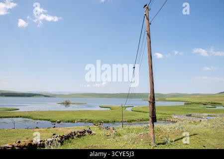 Krähen auf Versorgungsdrähten am Ufer des Paravani Sees mit einer kleinen Insel im Hintergrund. Paravani Lake, Javakheti, Georgia. 18. Juli 2020. Stockfoto