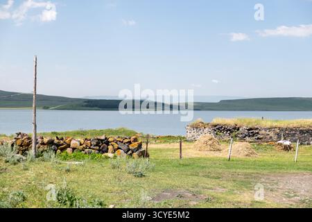 Paravani See mit einer kleinen Insel und umliegenden Wiesen auf dem Javakheti Plateau. Javakheti, Georgien. 18. Juli 2020. Stockfoto