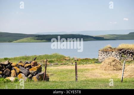 Paravani See mit einer kleinen Insel und umliegenden Wiesen auf dem Javakheti Plateau. Javakheti, Georgien. 18. Juli 2020. Stockfoto