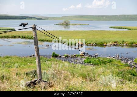 Krähen auf Versorgungsdrähten am Ufer des Paravani Sees mit einer kleinen Insel im Hintergrund. Paravani Lake, Javakheti, Georgia. 18. Juli 2020. Stockfoto
