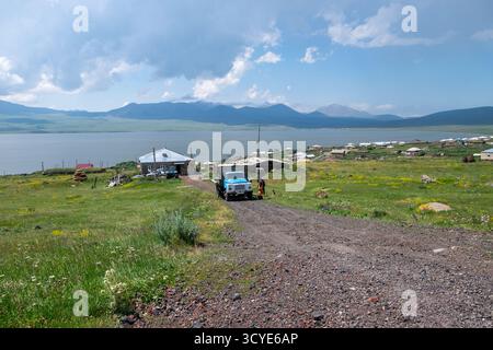 Hahn steht in einem Gemüsegarten mit grünen Pflanzen vor einem Steinhaus mit Grasdach. Paravani Lake, Javakheti, Georgia. 18. Juli 2020. Stockfoto