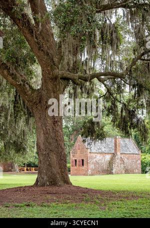 Boone Hall Plantation ist ein historischer Stadtteil in Mount Pleasant im Charleston County, South Carolina Stockfoto