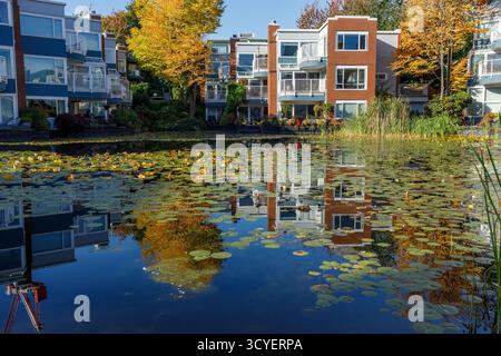 Vancouver, Kanada - Okt. 6,2025: Lagunen Wohnungen am Wasser Stadthäuser am 1551 Mariner Walk mit Herbstbäumen reflektiert in Teich mit Lilienpads Stockfoto