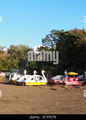 Schwan-Boote reihten im Herbst am Ufer des Yamanaka-Sees in der Präfektur Yamanashi, Japan, unter klarem blauem Himmel mit Berghintergrund Stockfoto