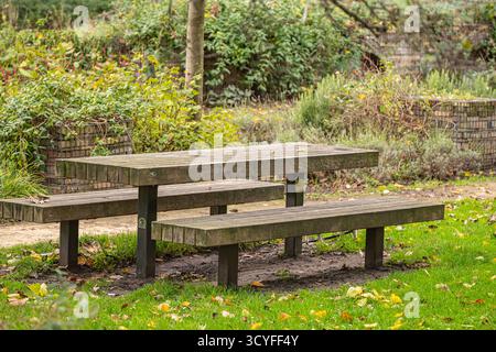Graue Holzbänke mit Tisch im leeren Herbstpark – grünes Gras mit Blättern bedeckt Stockfoto