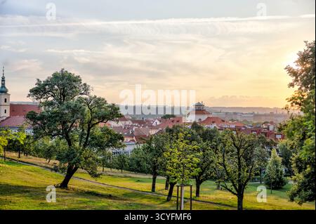Blick vom Petrin-Hügel über Bäume und Gärten zu den Dächern und Kirchtürmen von Prag, Tschechische Republik, bei Sonnenuntergang. Stockfoto