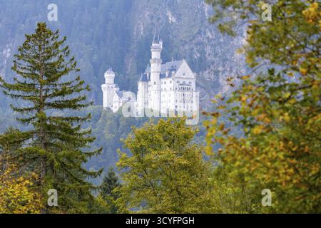 Schloss Neuschwanstein, Schwangau, Romantische Straße, Ostallgäu, Bayern, Deutschland Stockfoto