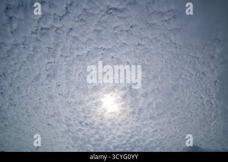 Ein dramatischer Blick auf den Himmel, der die Sonne teilweise von einer dichten Schicht aus Altocumulus-Wolken verdeckt und eine strukturierte und stimmungsvolle Atmosphäre schafft. Die Scratte Stockfoto