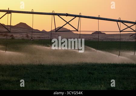 Modernes Bewässerungssystem im Feld Stockfoto