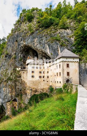 Schloss Predjama, Slowenien, dramatisch in eine Klippe gebaut, im Frühjahr von gelben Blüten eingerahmt, in der Nähe des berühmten Höhlensystems von Postojna. Stockfoto