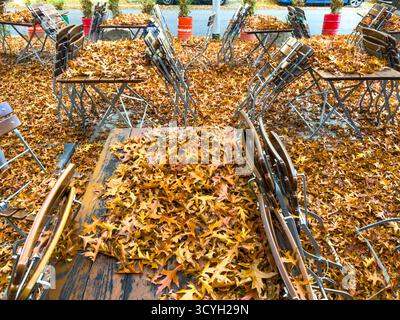 Herbst in der Stadt, Biergarten, Kneipen Terrasse unter Laubbäumen, Sumpf-Eiche, Boden und Tischen Stühle sind mit herab gefallenem Laub bedeckt, es Stockfoto