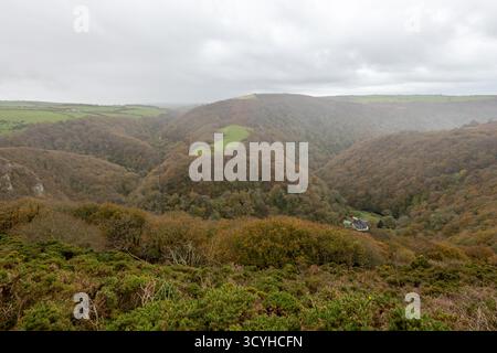 Blick von der Spitze des Countisbury Hill auf die herbstlichen Farben des Watersmeet Valley im Exmoor National Park an einem regnerischen Tag Stockfoto