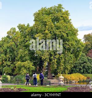 Besucher bewundern die herbstlichen Farben in den Royal Botanic Gardens Kew Richmond London England UK Stockfoto