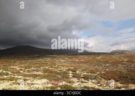 Herbstlandschaft im Dovrefjell-Nationalpark, Norwegen Stockfoto